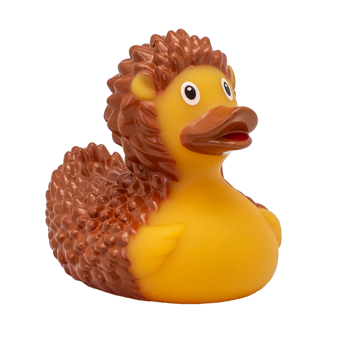 Hedgehog duck