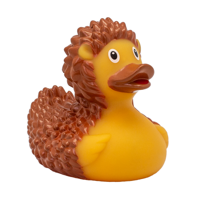 Pato de ouriço