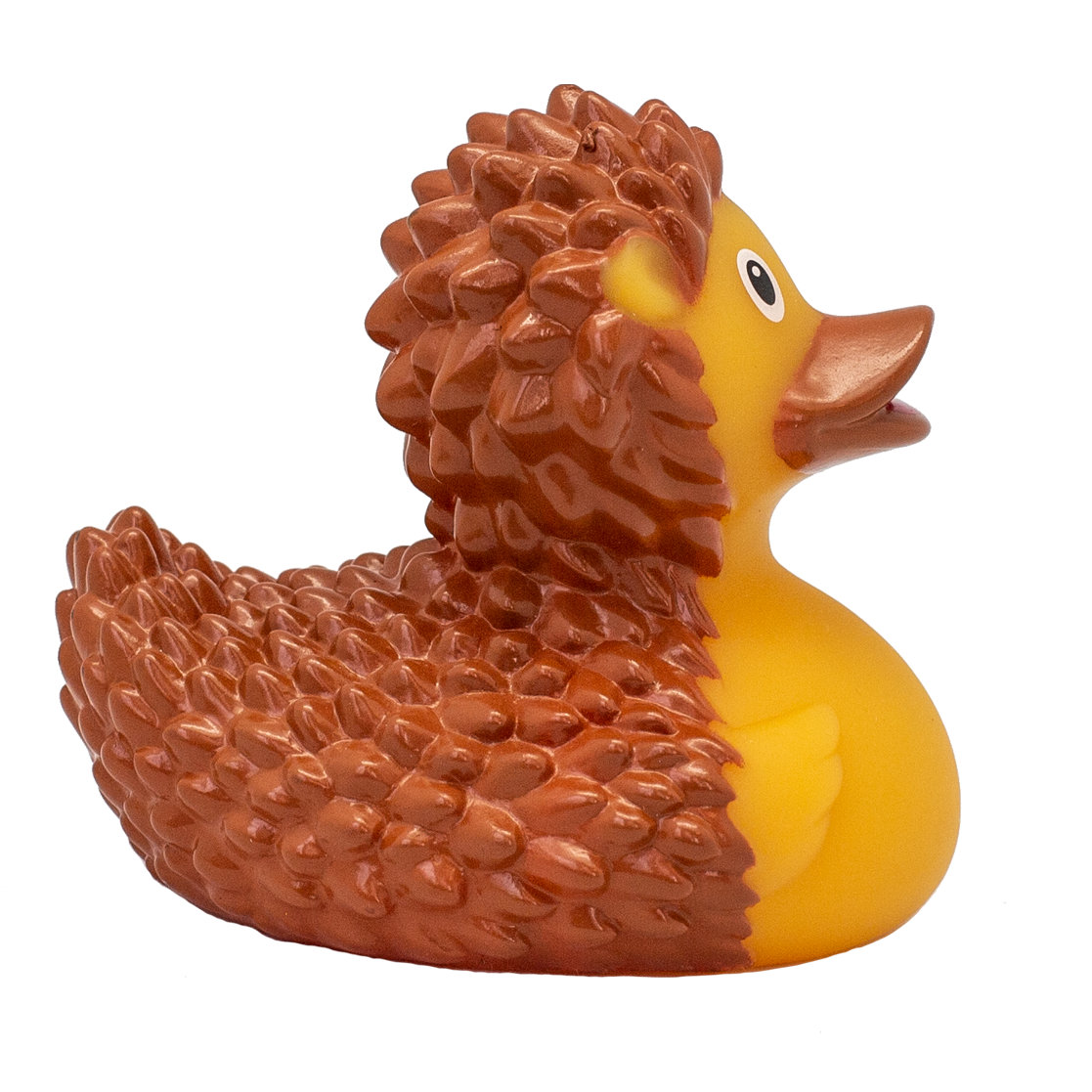 Hedgehog duck