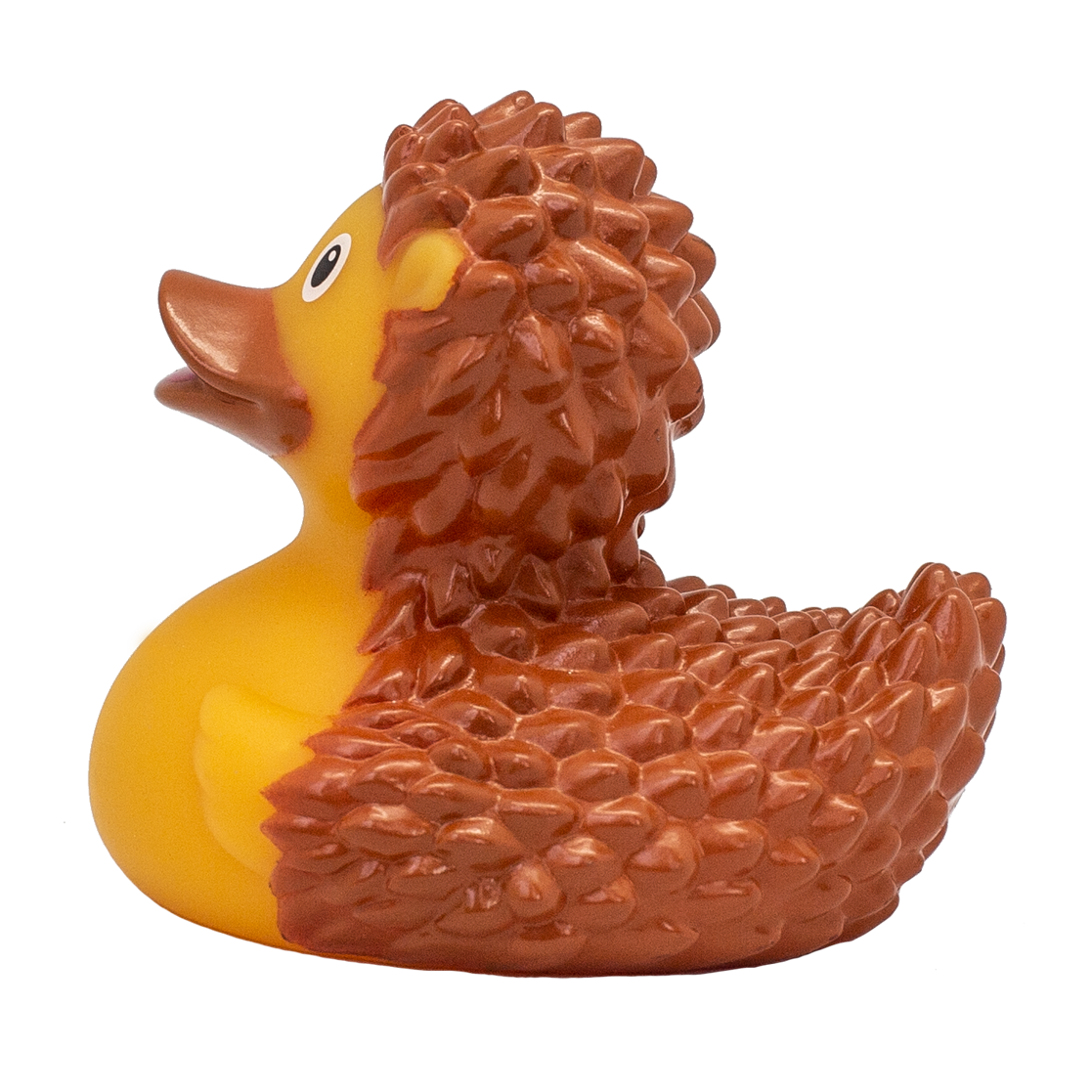 Hedgehog duck