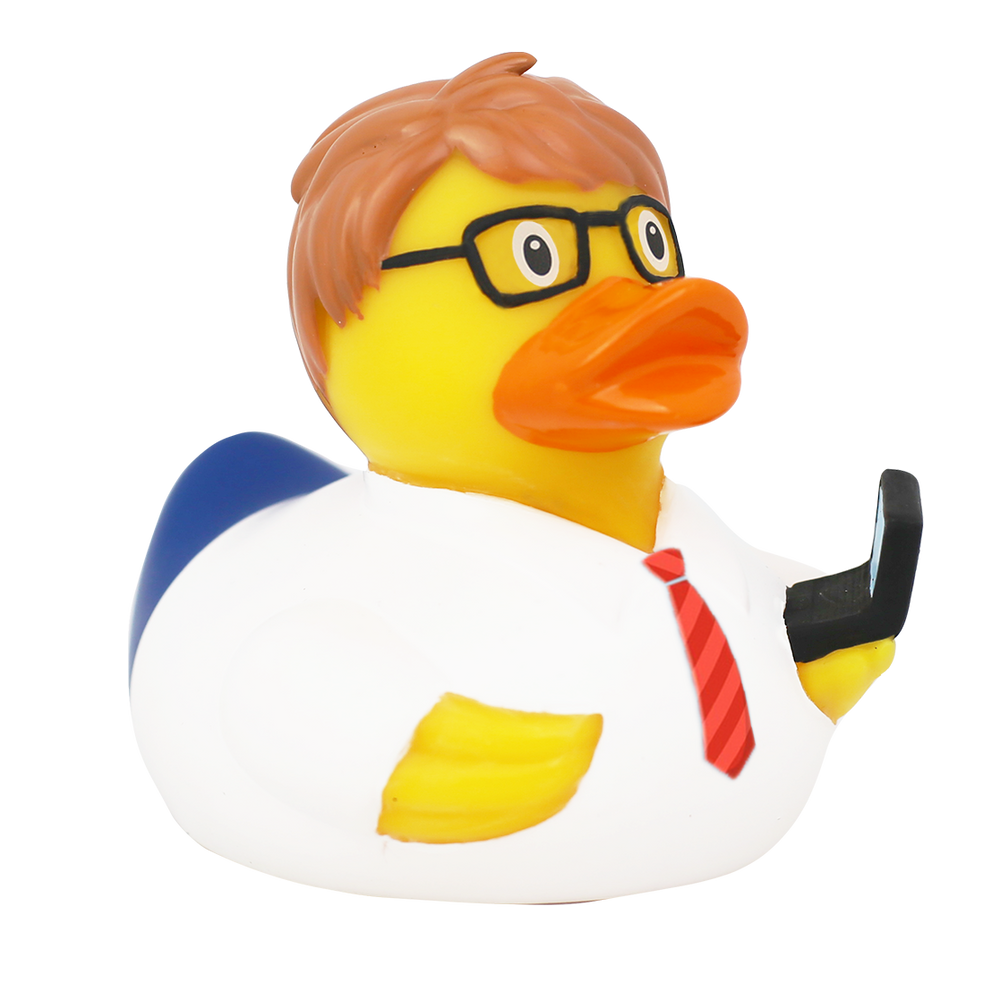 Ente Ingénieur Informaticien