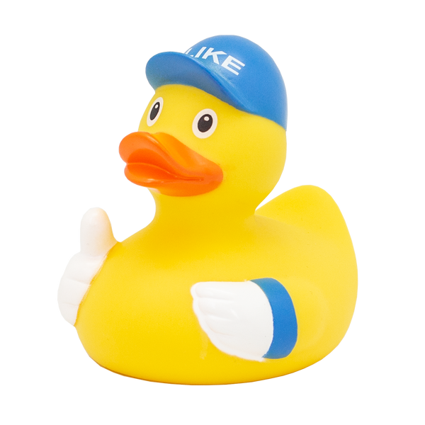 Eendachtig