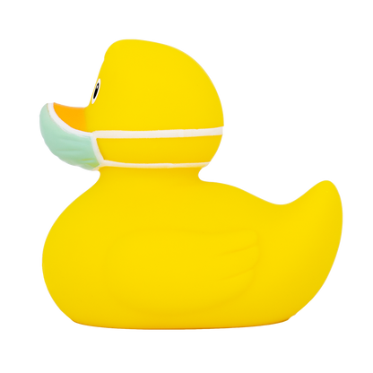 Pato de corona amarillo