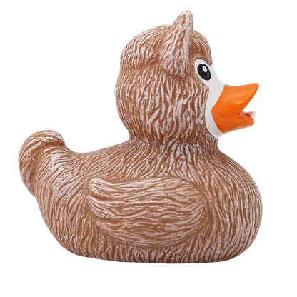 Canard Lama