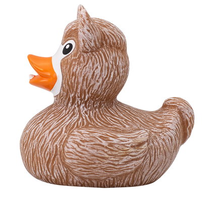 Canard Lama