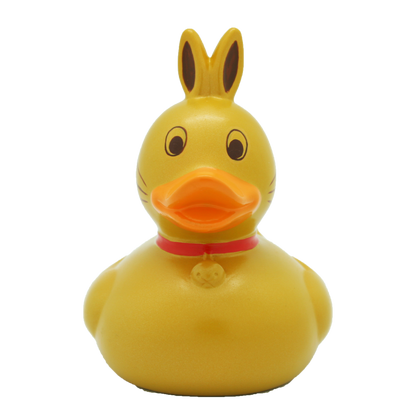 Coniglio d'oro anatra