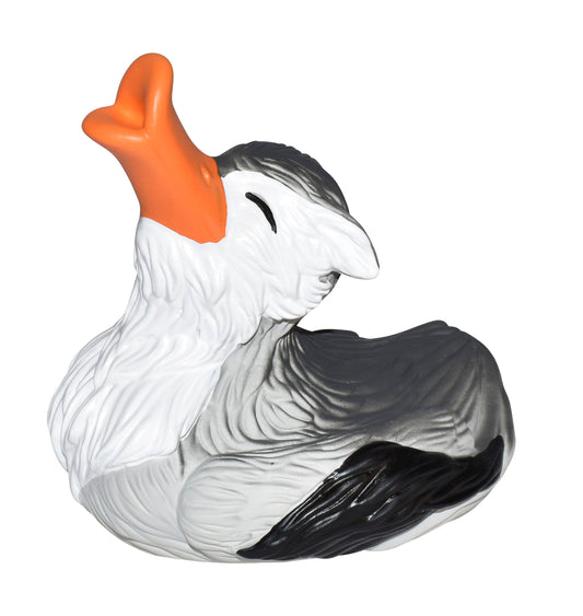 Canard Loup