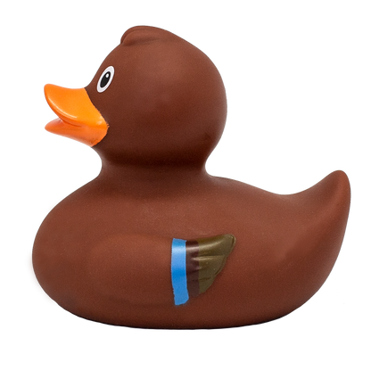 Mãe Duck