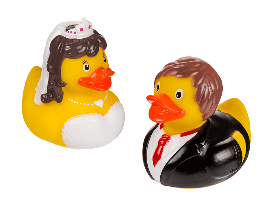 Casal de casal pato