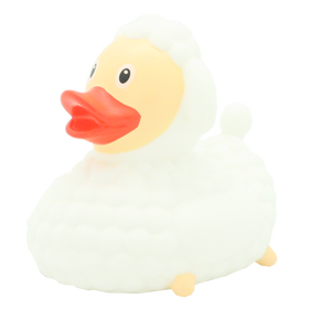 Sheep duck