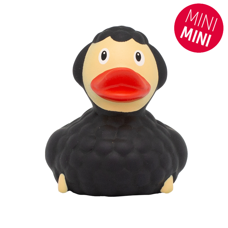 Mini Canard Mouton Noir