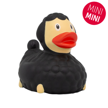 Mini black sheep duck