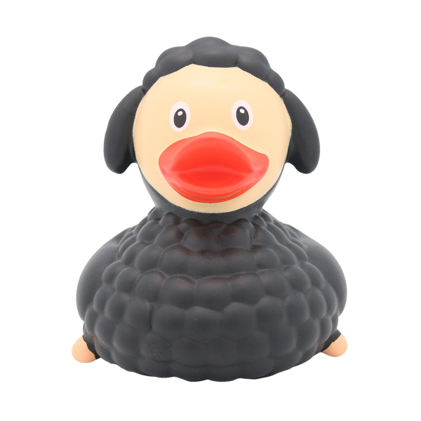 Pato de ovelha negra