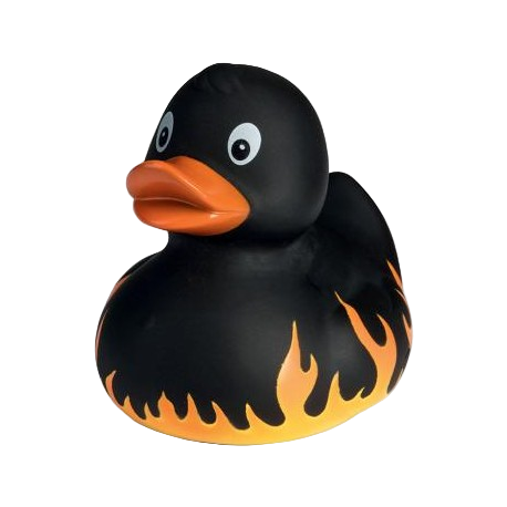 Canard Flammes