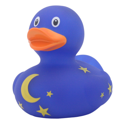 Canard Nuit Étoilée