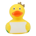 Duck with Sign