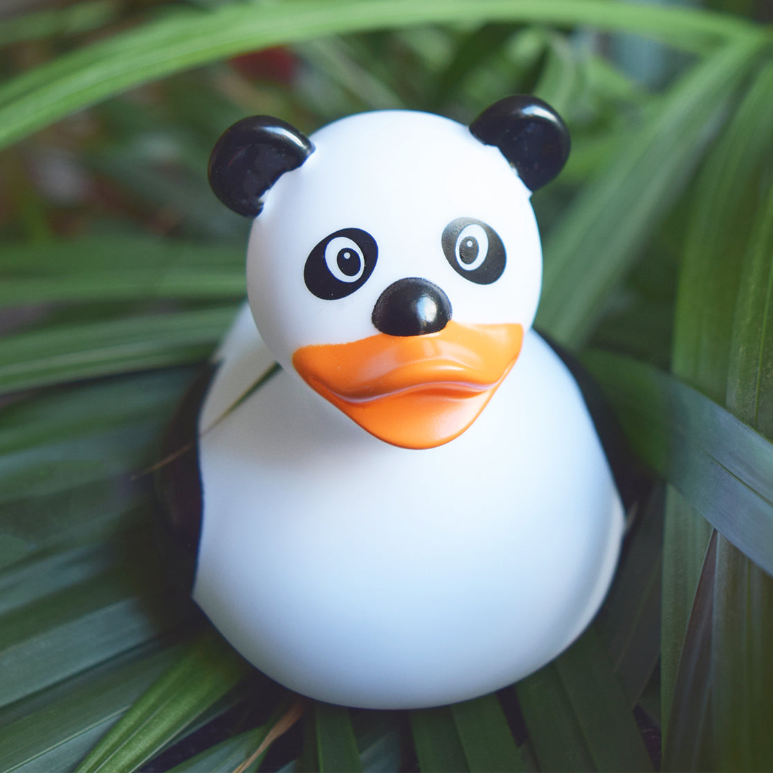 Panda de pato