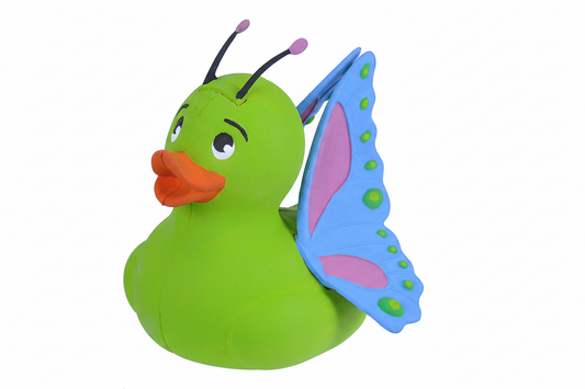 Canard Papillon