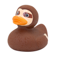Lazy duck