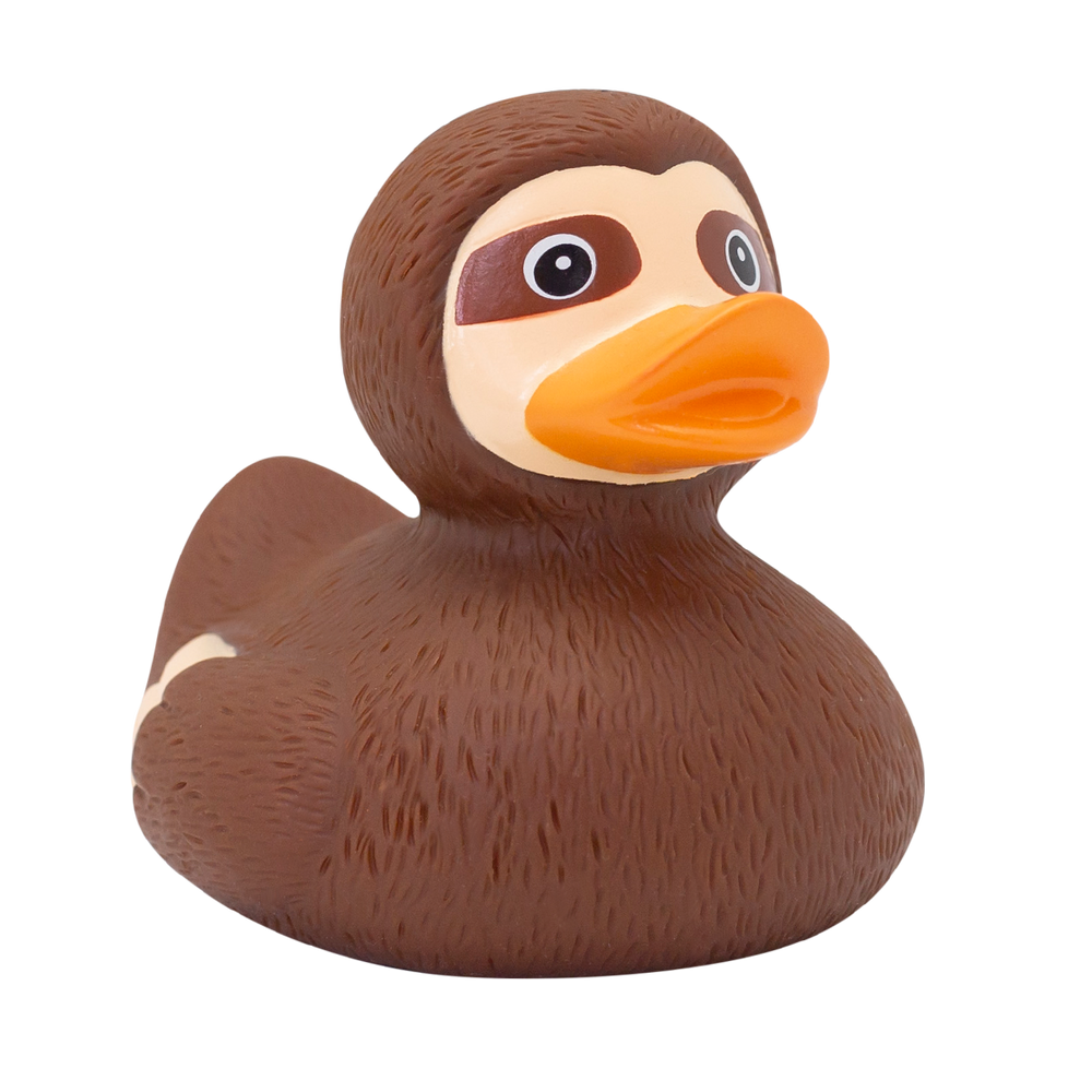 Lazy duck