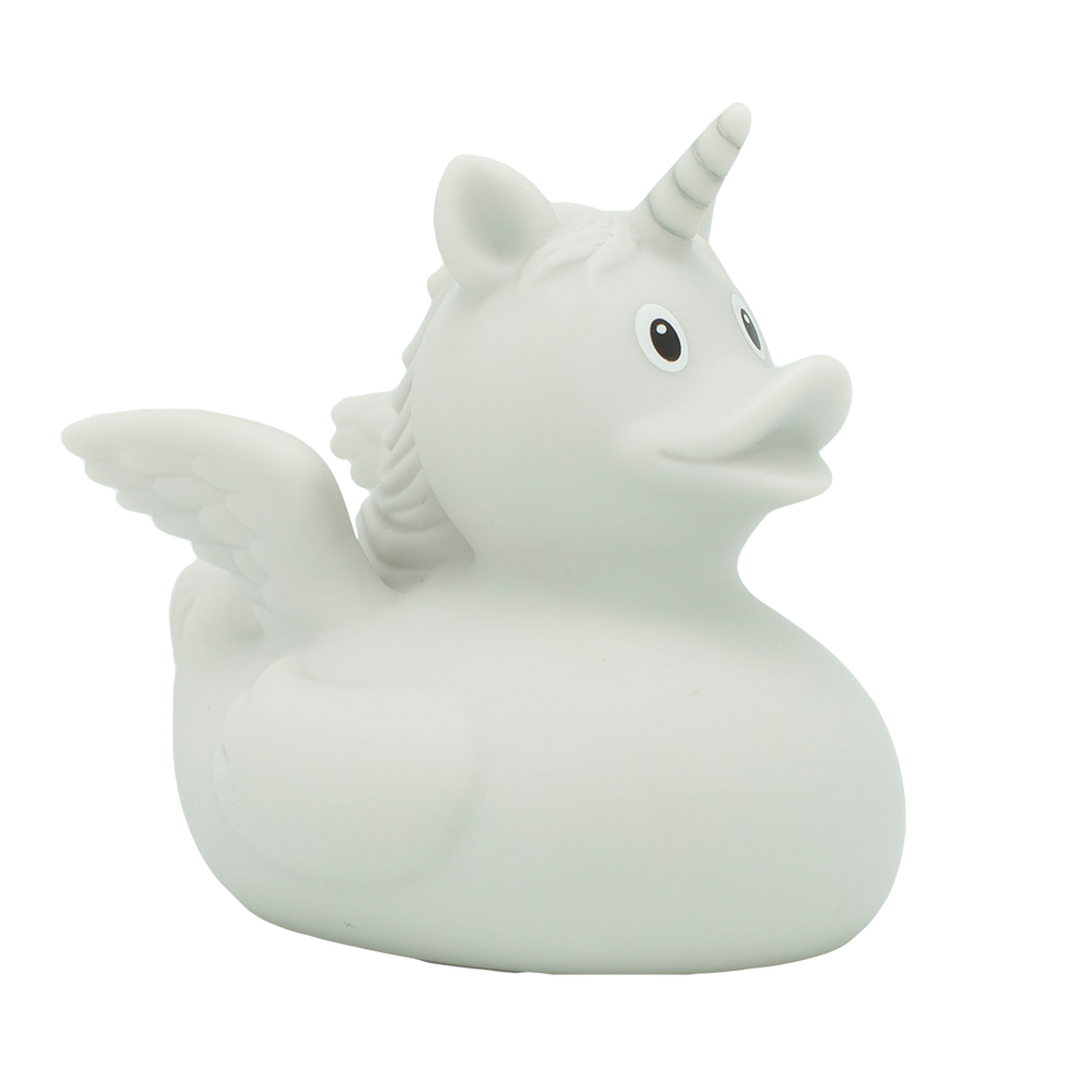 Canard Pégase