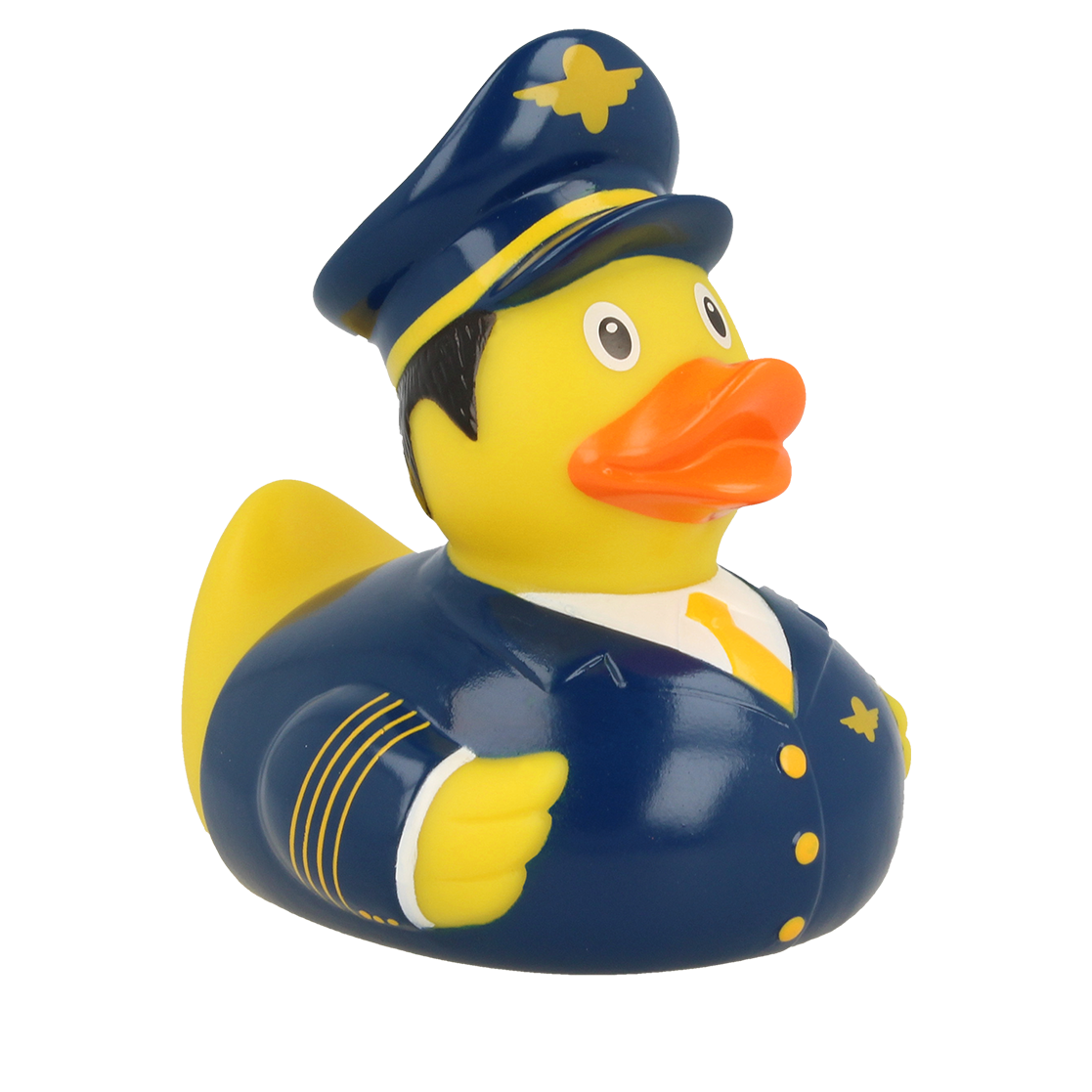 Canard Pilote de Ligne