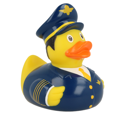 Pato piloto de linha