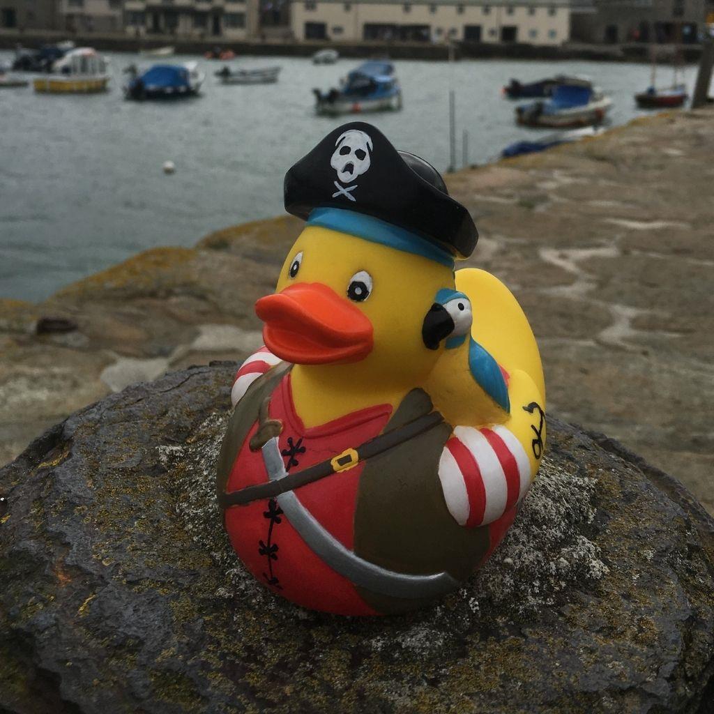 Canard Pirate