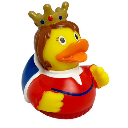 Queen duck