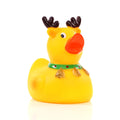 クリスマスのトナカイのアヒル