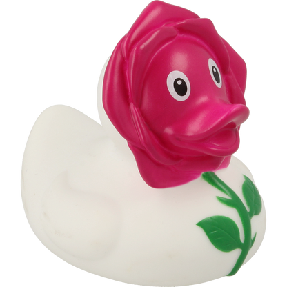 Rose duck