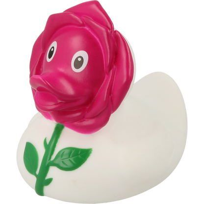 Rose duck