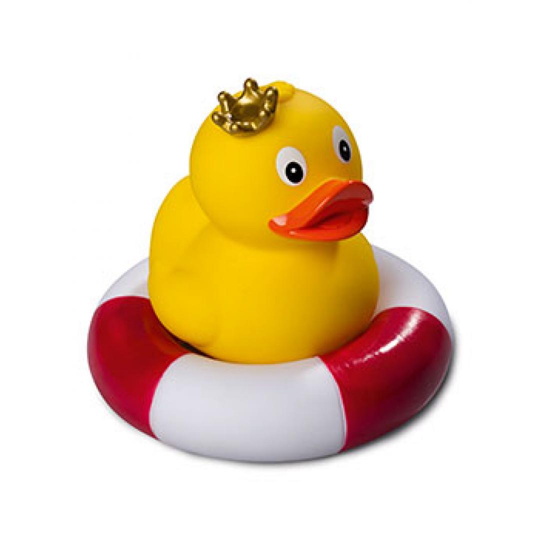 Royal Duck Standing