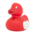 O pato compartilhe a felicidade