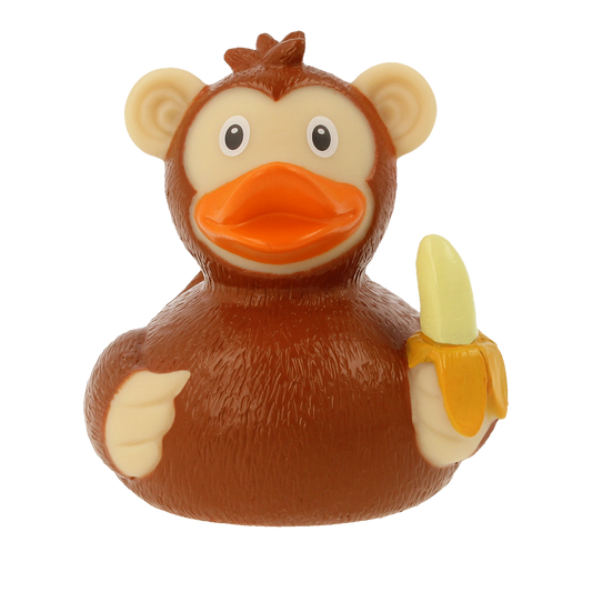 Canard Singe