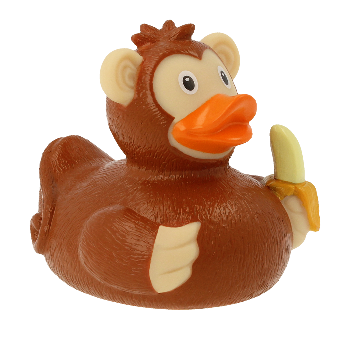 Canard Singe