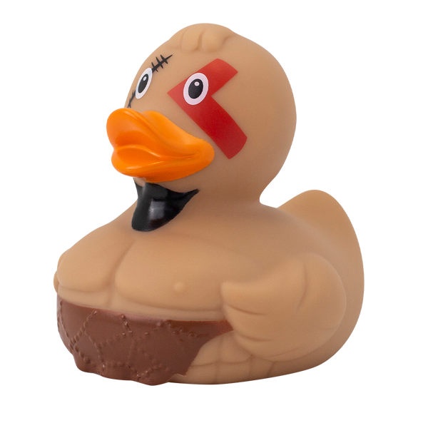 Canard Spartiate