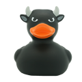 Black bull duck