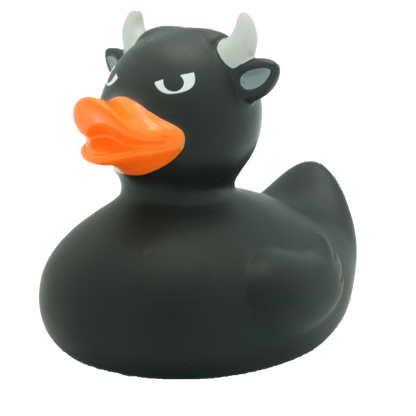 Pato de touro preto