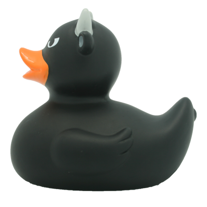 Pato de touro preto