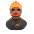 Vuurkop-eend