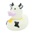 Papera Mucca da Latte