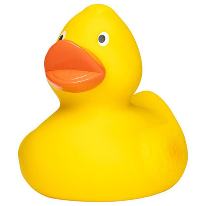 Canard M MBW