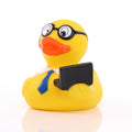 Duck Informaticien