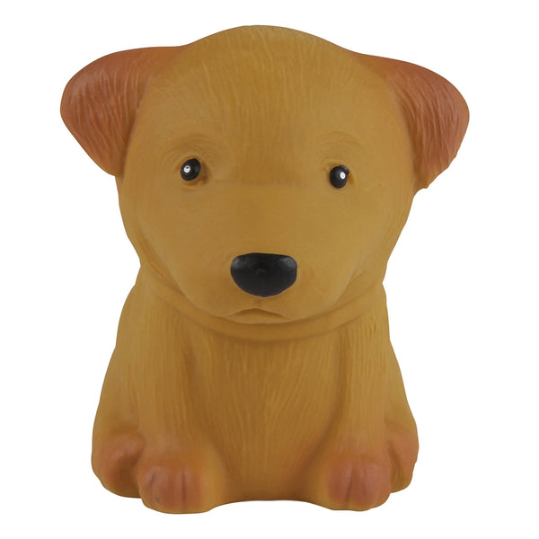 Puppy Parade Caniche