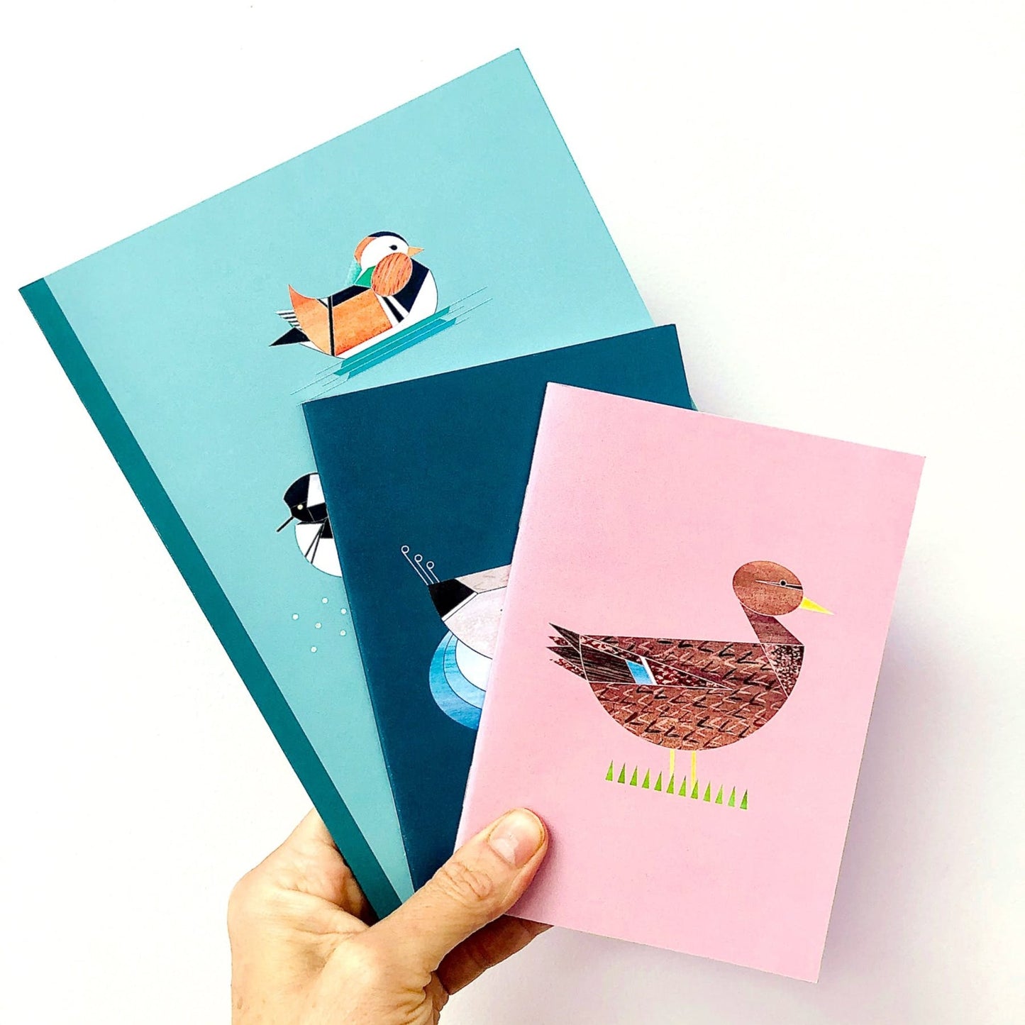 Nota cuaderno Sra. Duck Colvert