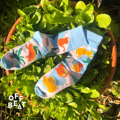 Chaussettes Chats au Soleil