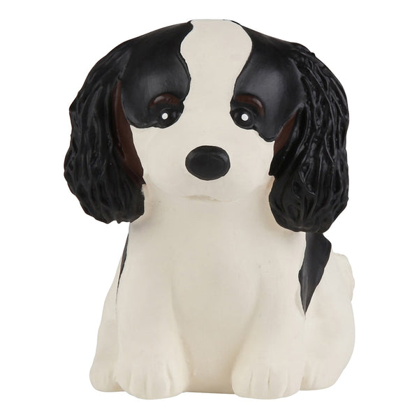 Puppyparade Cavalier King Charles