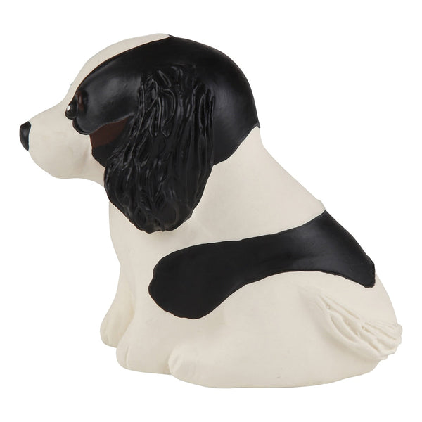 Puppyparade Cavalier King Charles