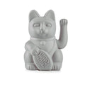 Gato gris afortunado